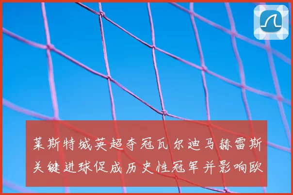 莱斯特城英超夺冠瓦尔迪马赫雷斯关键进球促成历史性冠军并影响欧战席位