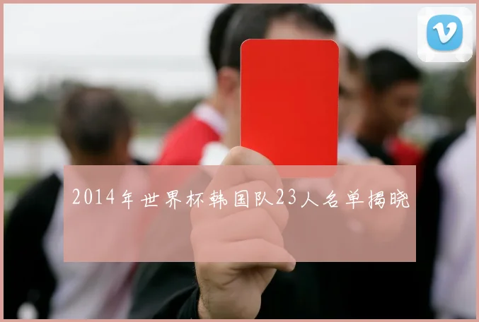 2014年世界杯韩国队23人名单揭晓
