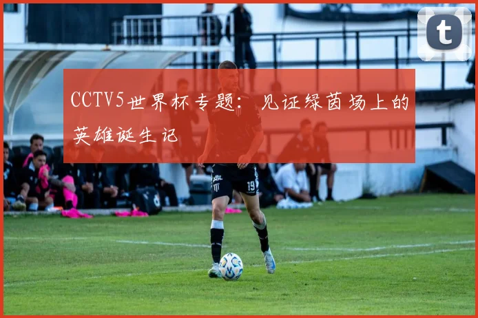 CCTV5世界杯专题:见证绿茵场上的英雄诞生记